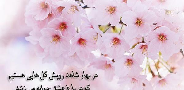 عکس بهار متن