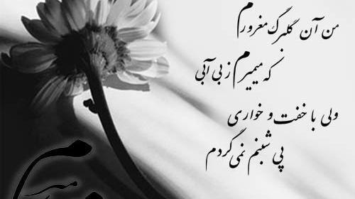 عکس نوشته ی بی تو مهتاب شبی
