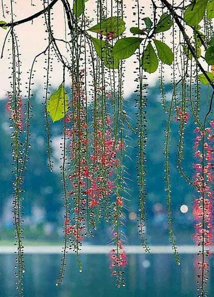 عکس پروفایل دخترونه شیک و کلاسیک