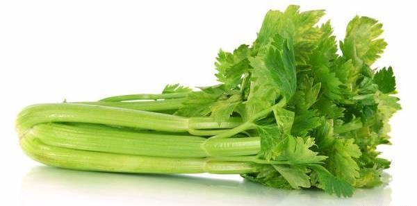 عکس فانتزی کرفس