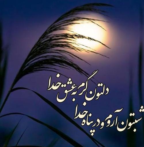 عکس نوشته شب بخیر