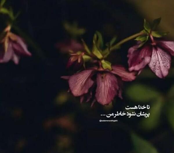 عکس ضرب تمرین