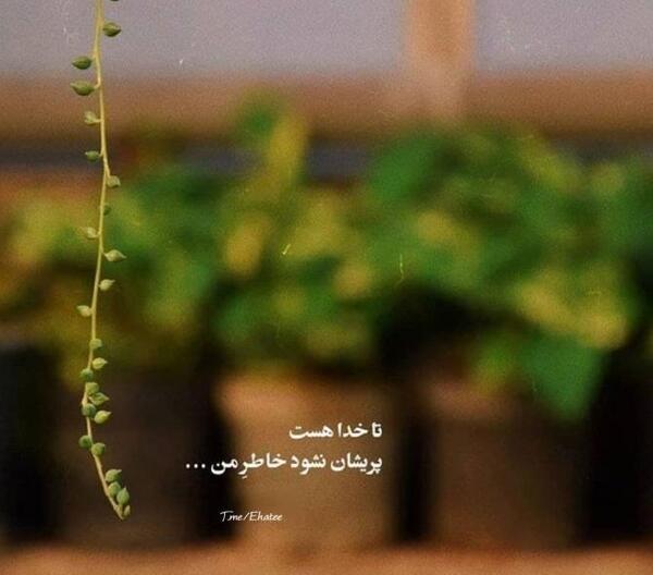 عکس ضرب تمرین