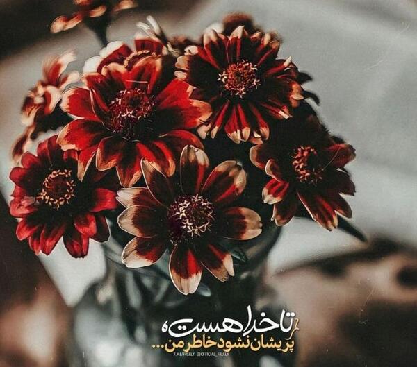 عکس ضرب تمرین