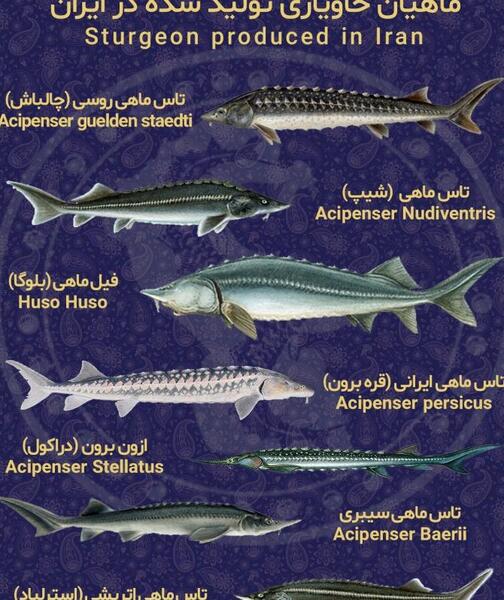 عکس لایه اوزون کره زمین