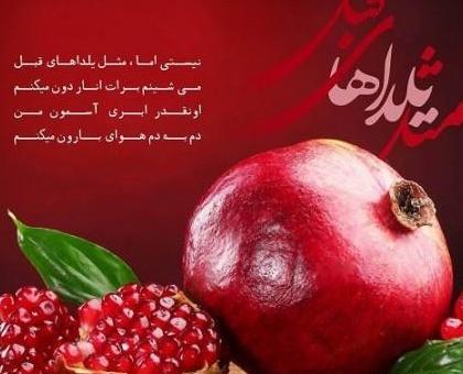 عکس ال نود صفر