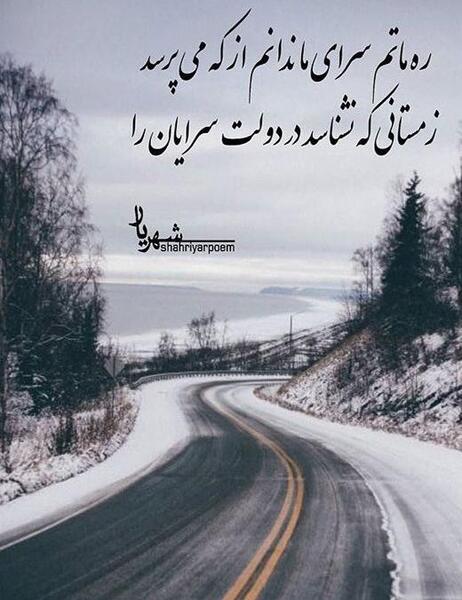 عکس چشمان جغد