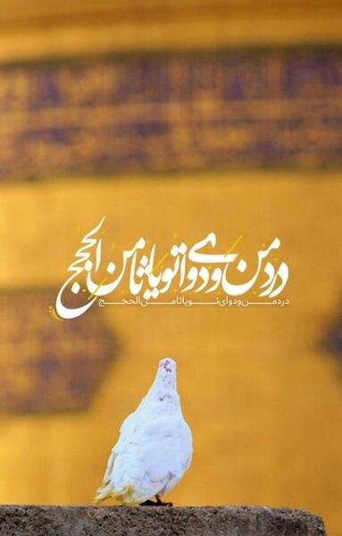 عکس نوشته دارم میرم مشهد