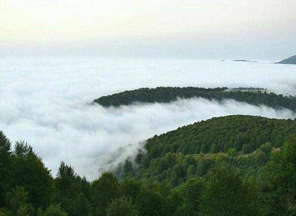 عکس جاده چالوس در تابستان