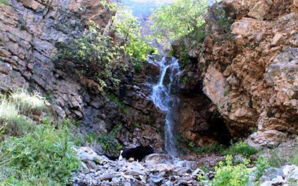 عکس جاده چالوس در تابستان