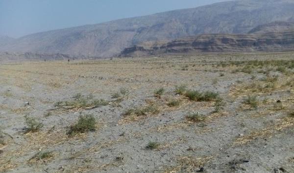 عکس زمین بایر