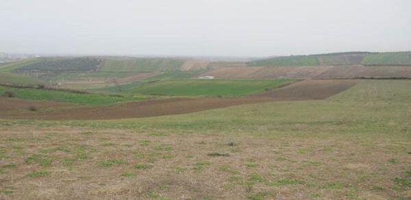 عکس زمین بایر