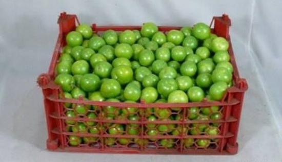 عکس نوشته خنده دار قدیمی