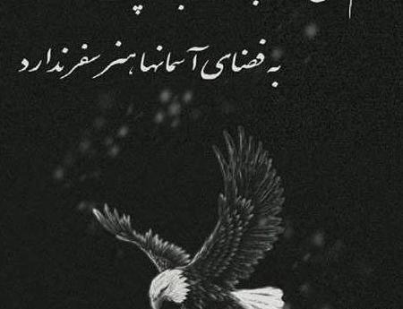 عکس غذای عقاب
