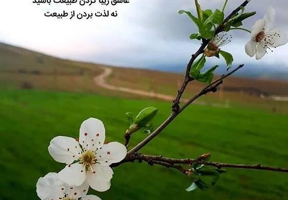 عکس نوشته راجب طبیعت