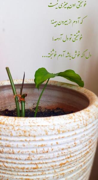 عکس نوشته راجب طبیعت