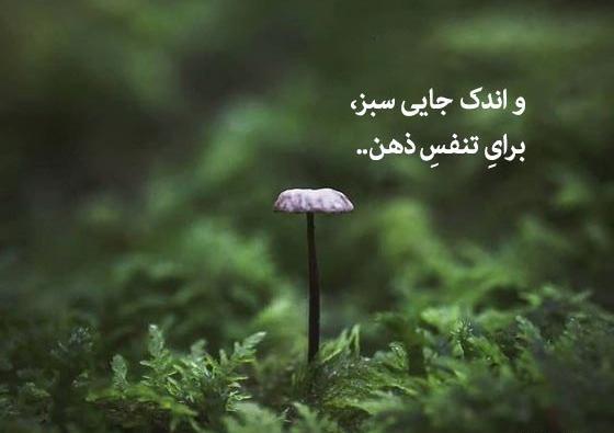 عکس نوشته راجب طبیعت