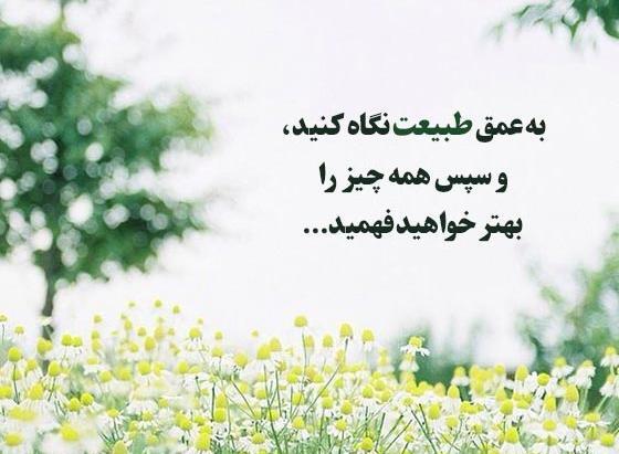 عکس نوشته راجب طبیعت