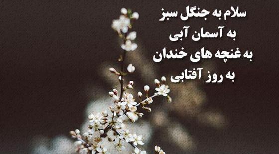 عکس نوشته راجب طبیعت
