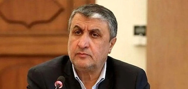 عکس مدیرکل آژانس بین المللی انرژی اتمی