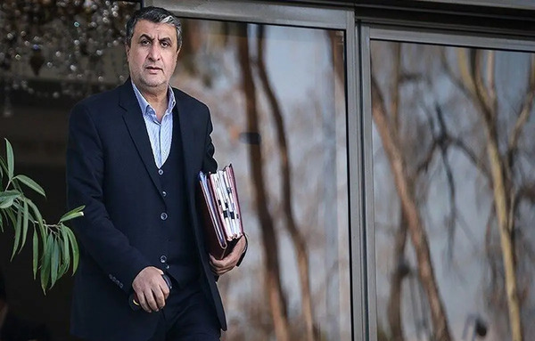 عکس مدیرکل آژانس بین المللی انرژی اتمی