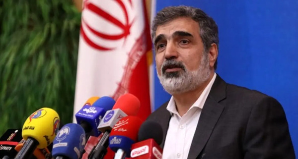 عکس مدیرکل آژانس بین المللی انرژی اتمی