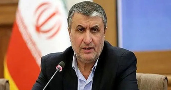 عکس مدیرکل آژانس بین المللی انرژی اتمی