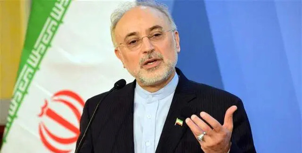 عکس مدیرکل آژانس بین المللی انرژی اتمی