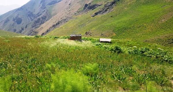 عکس قله آزاد کوه