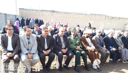 عکس امیر شایان محمودی
