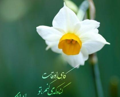 عکس نوشته حدیث در مورد ظهور امام زمان