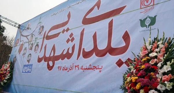عکس یلدای شهدایی