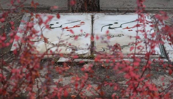 عکس یلدای شهدایی