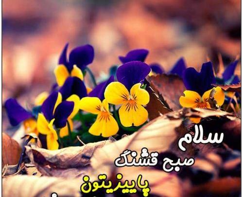 عکس نوشته صبح بخیر دایی جان