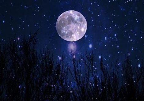 عکس شب کارتونی