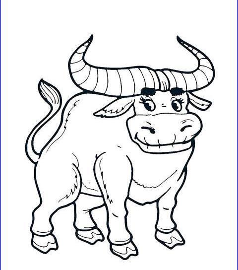عکس نقاشی کودکانه گاو