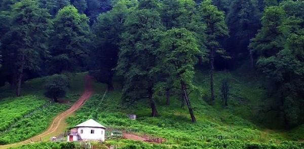 عکس طبیعت زیبای رامسر