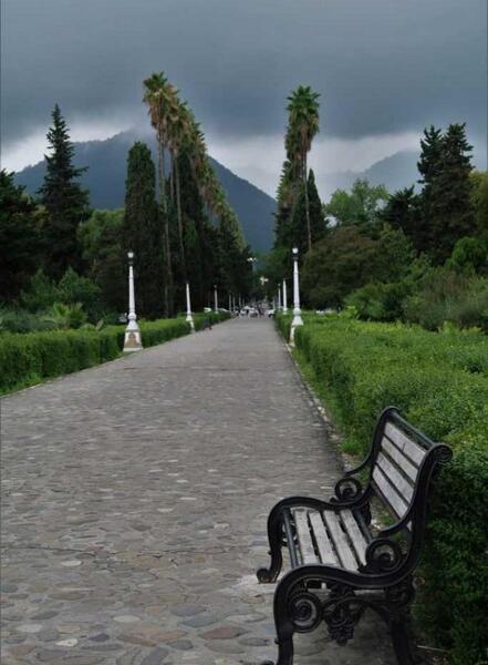 عکس طبیعت زیبای رامسر