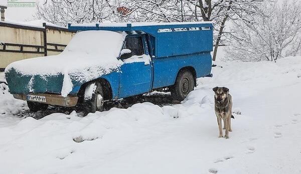 عکس طبیعت زیبای رامسر