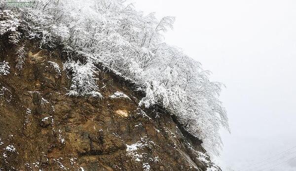عکس طبیعت زیبای رامسر