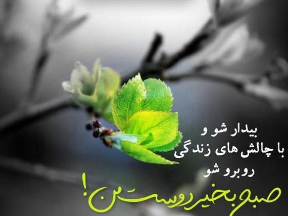 عکس نوشته صبح بخیر شاداب