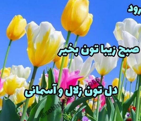 عکس نوشته صبح بخیر شاداب