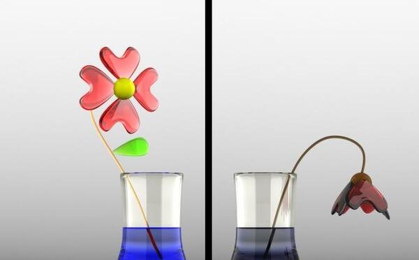 عکس نوشته صبح بخیر شاداب