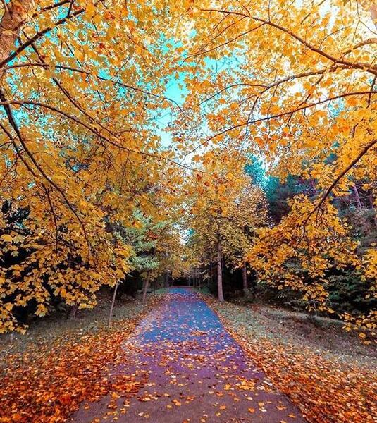 عکس طبیعت پاییز برای پروفایل