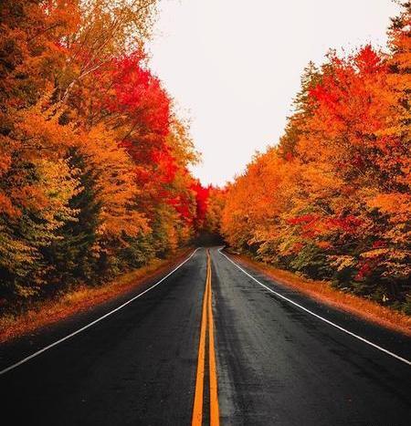 عکس طبیعت پاییز برای پروفایل
