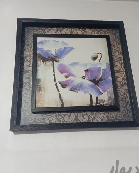 عکس صباشهر