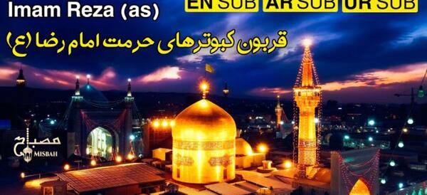 عکس تصویر شهید حججی هنگام شهادت