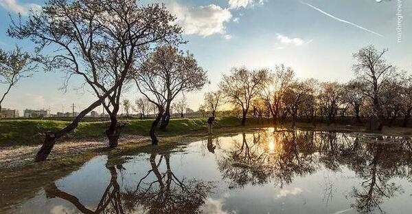 عکس از طبیعت عادی