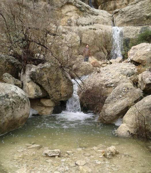 عکس از طبیعت عادی