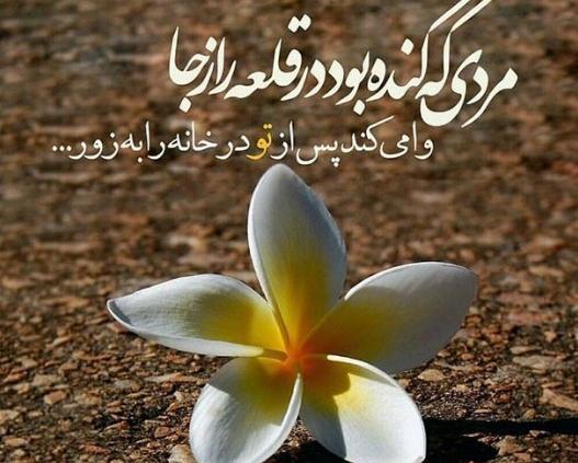 عکس زیبا برای پروفایل حضرت زهرا
